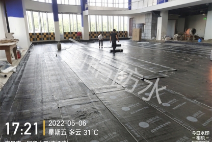 湖北省宜昌市国贸大厦溜冰场防水施工