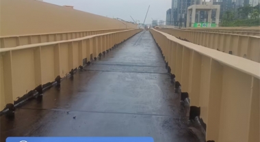 新月溪景观桥梁工程书桥（光谷五路）桥面防水工程